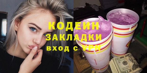 дурь Арсеньев